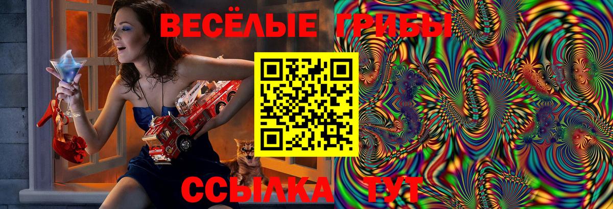 Галлюциногенные грибы MAGIC MUSHROOMS  Галлюциногенные грибы Magic Shrooms  Фролово  Вход с VPN 